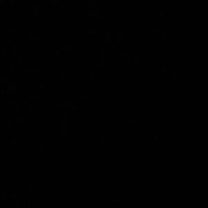 Meet your Posher, Corey